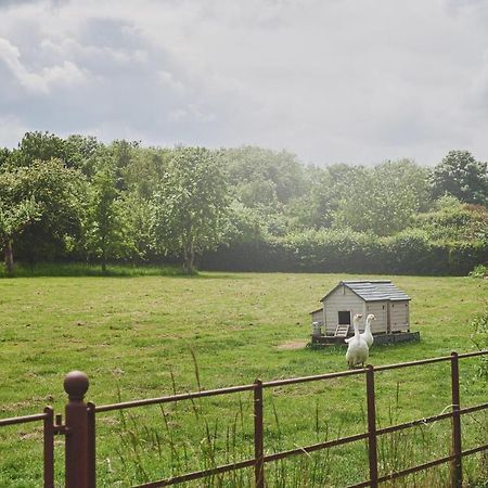 Apple Tree Cottage Beckford Exterior photo